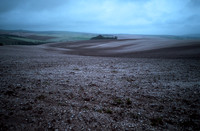 arable6