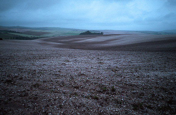 arable6