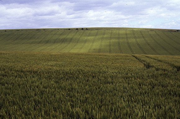 arable5