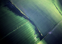 arable&grassland