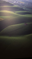 southdowns2